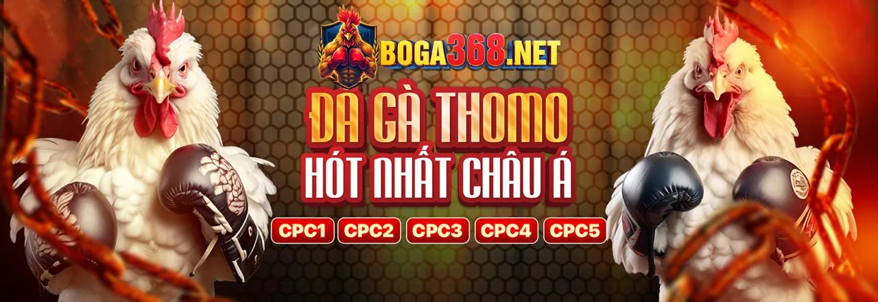 Sân vận động bóng đá sôi động với cá cược 8kbets