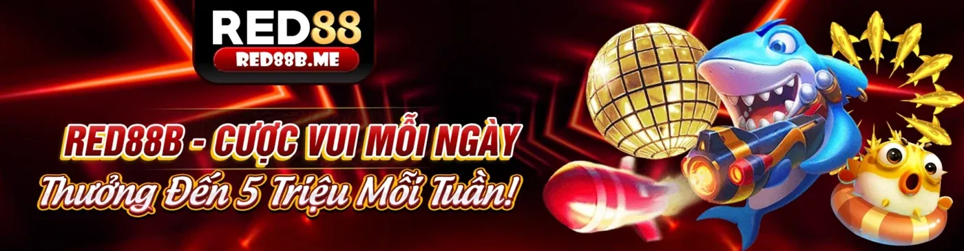 Thu thập dữ liệu cá nhân tại 8KBets